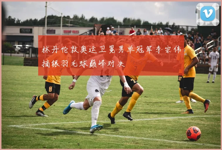 林丹伦敦奥运卫冕男单冠军李宗伟摘银羽毛球巅峰对决